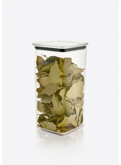 1750 ml Stock Square Food Container