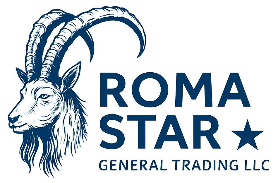 Roma Star Logo